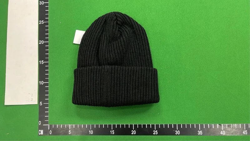 Lacoste Beanie（36+ Styles）