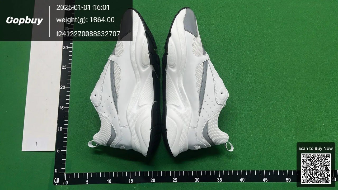 Dior B22 Sneakers Shoes