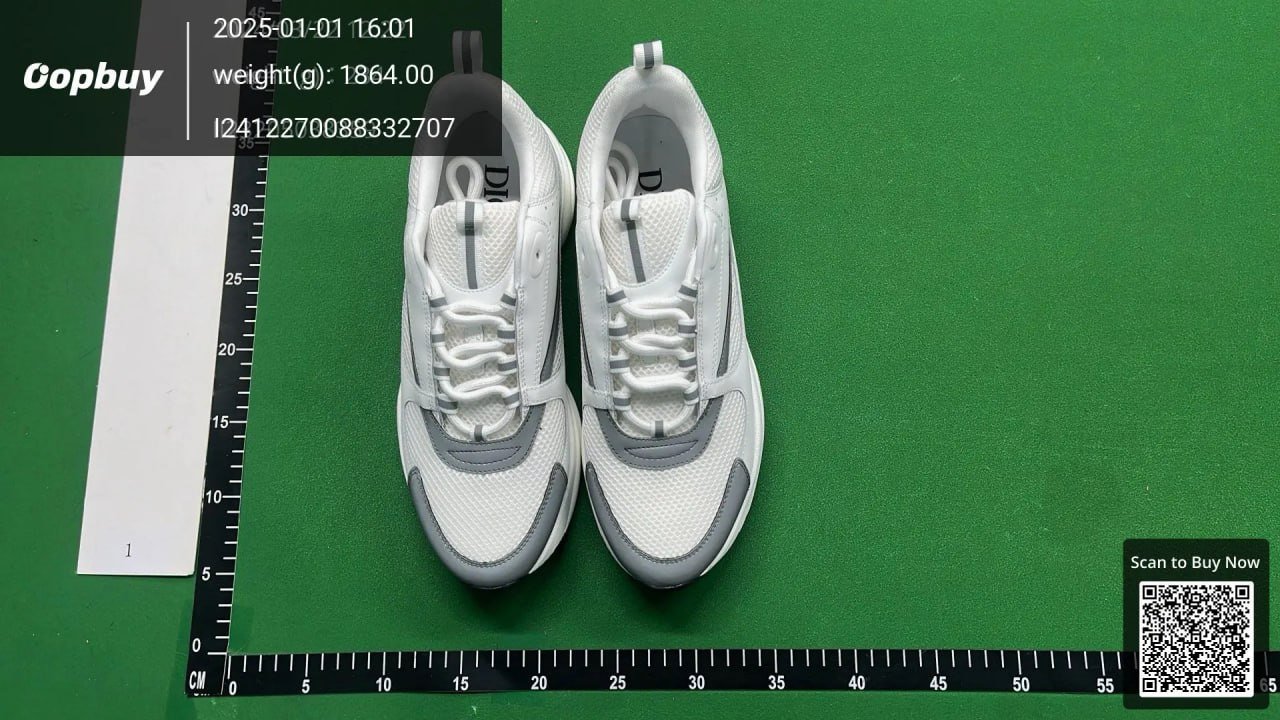 Dior B22 Sneakers Shoes