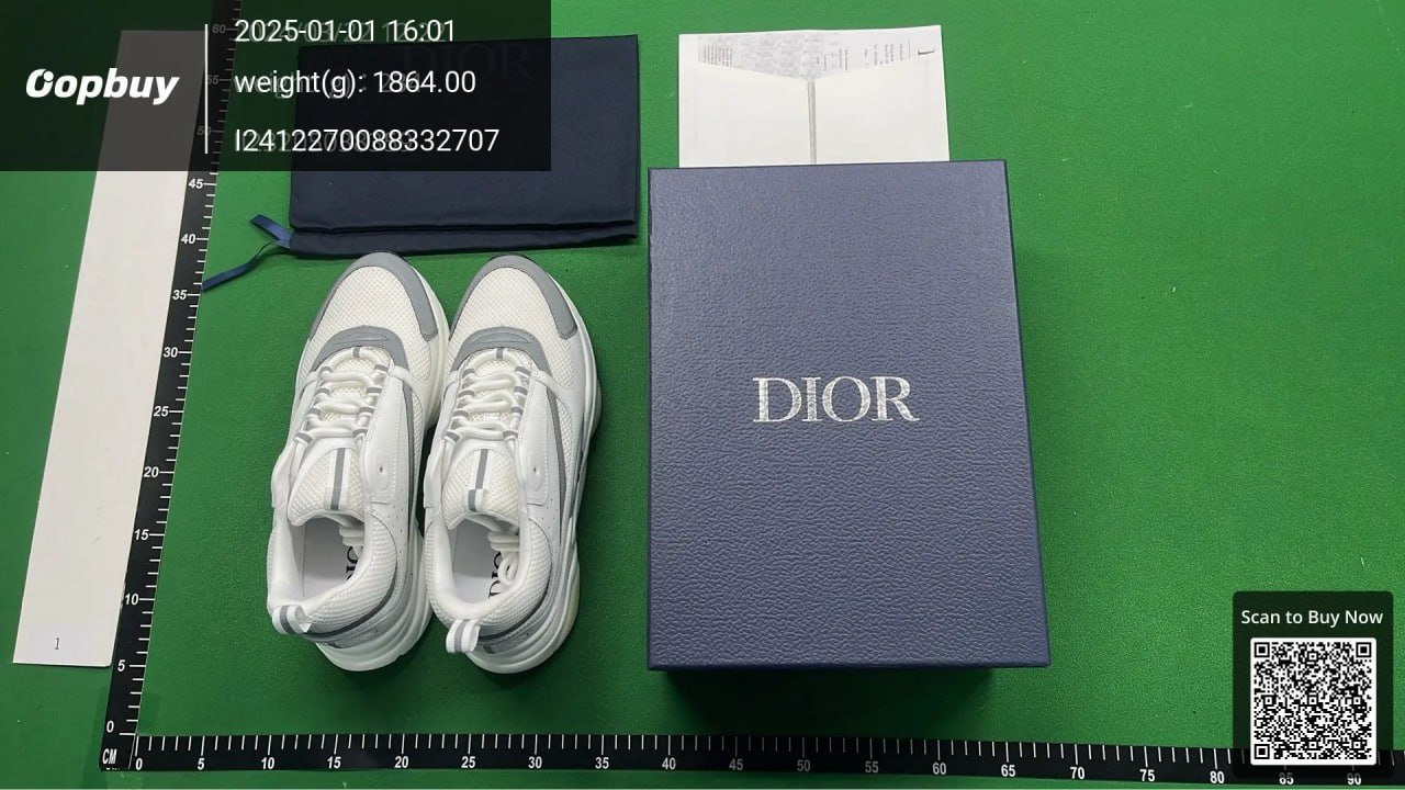 Dior B22 Sneakers Shoes