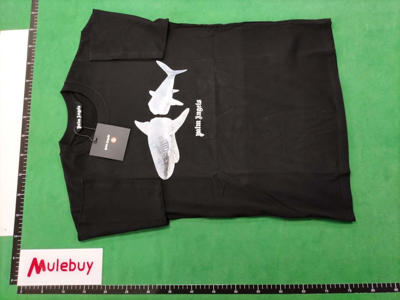 Palm Angels T-Shirts（40 Styles）