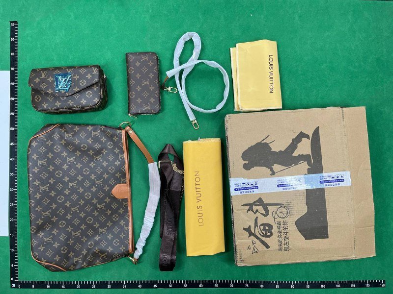 Louis Vuitton Bag （39 Styles）