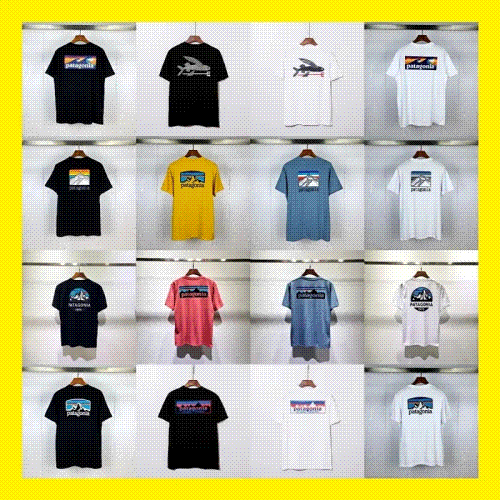  Patagonia T-shirt（35 Styles）