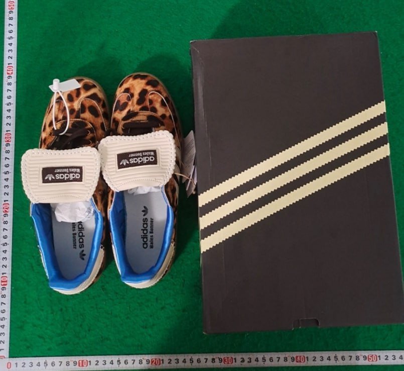 WB Pony Tonal Samba（40 Style）