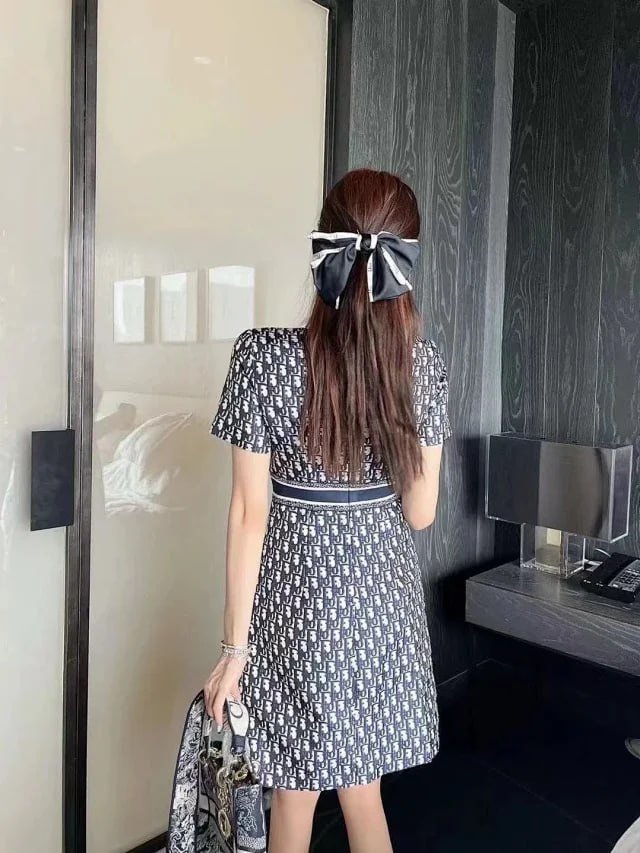 DIOR dress?
