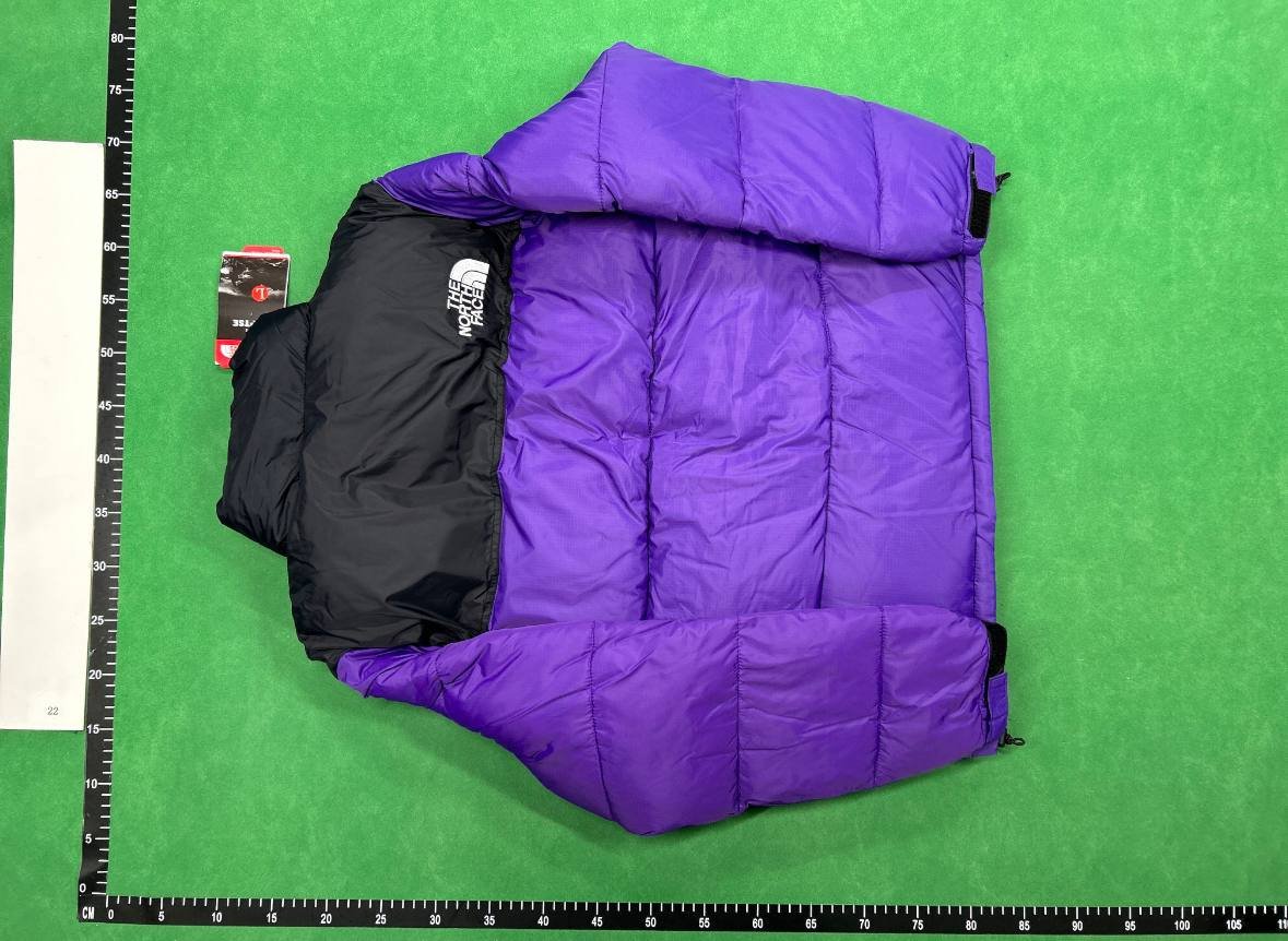  The North face Down Jackets （20+style）