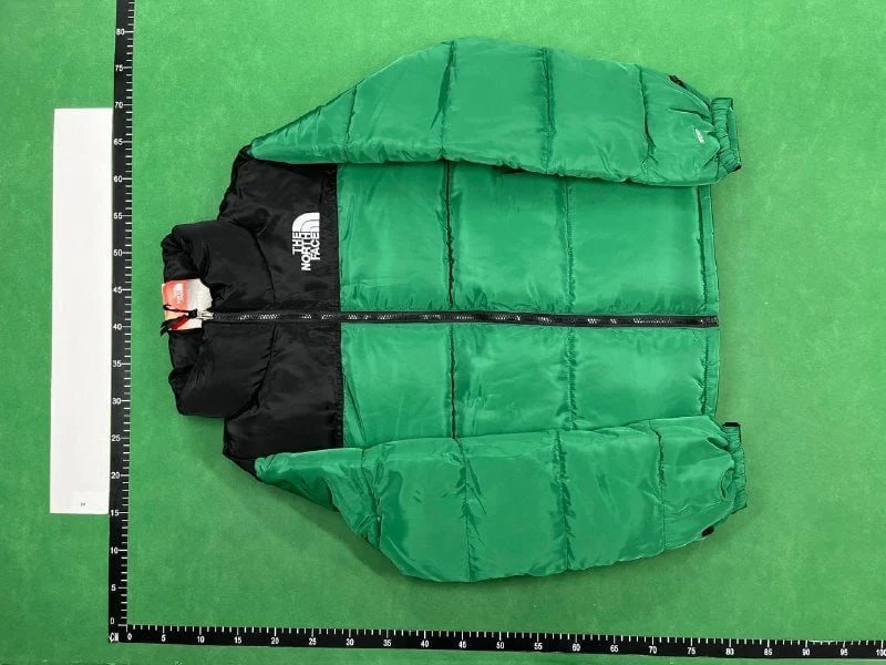  The North face Down Jackets （20+style）