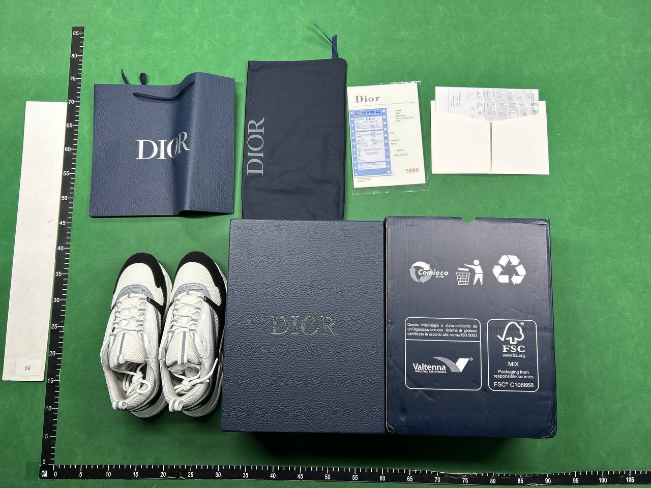 Dior B22